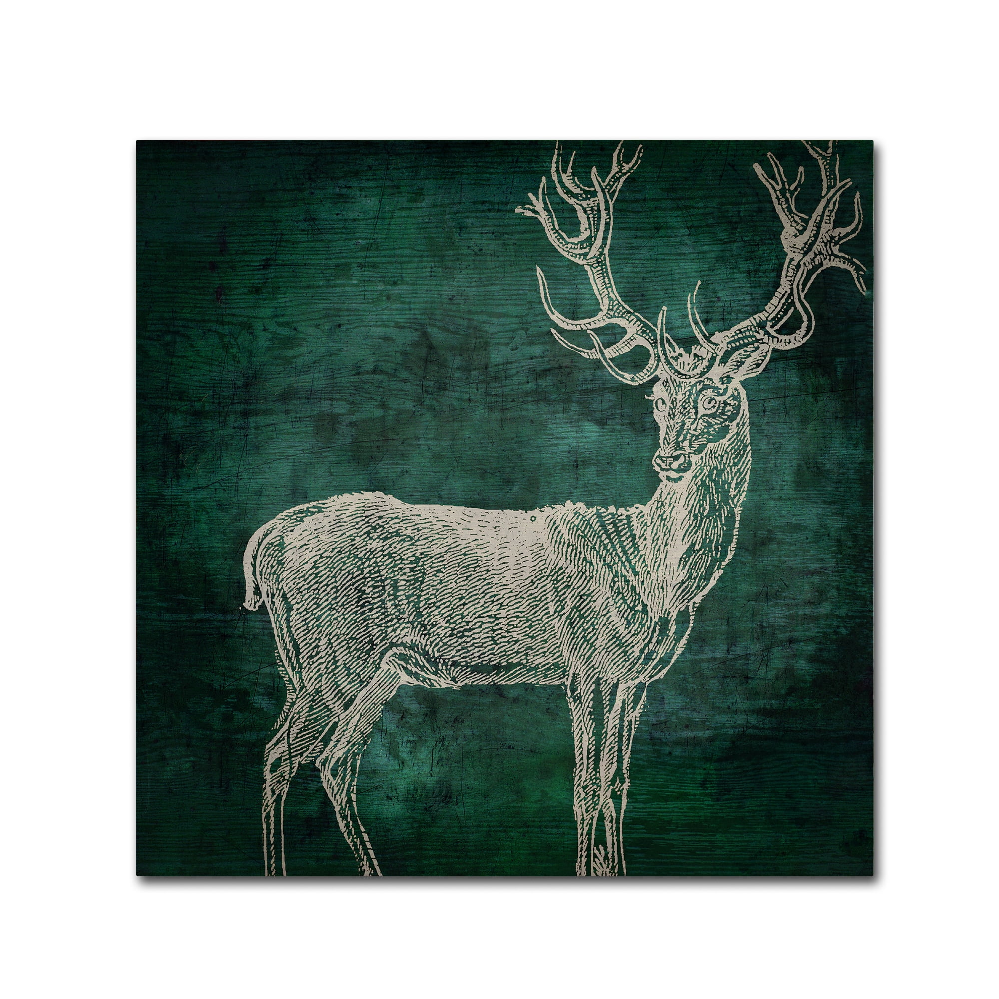 Trademark Fine Art "Emerald Deer" Canvas Art by Color Bakery