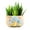 Style 2, variant on Kilisky Succulent Plant Pots Colorful Mushrooms Pattern Flower Pots Ceramic Planter for Plants Container Bonsai Pots with Drainage Hole for Home Decor (without Plants)