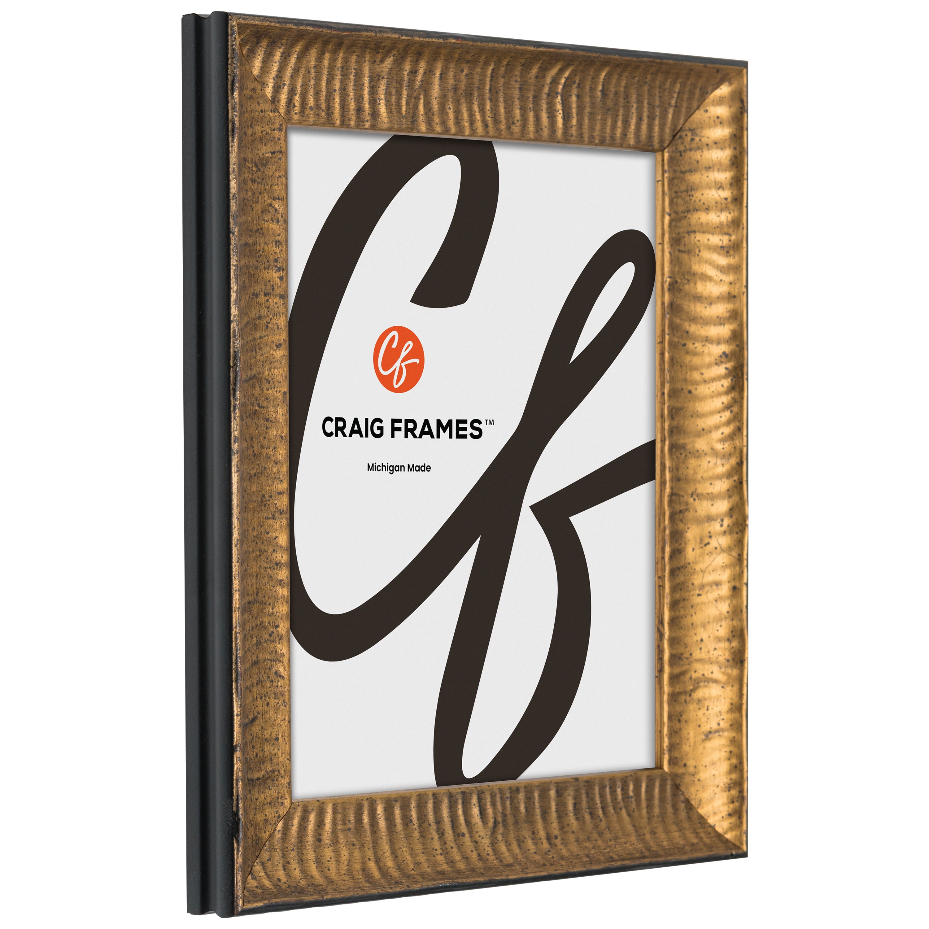 Craig Frames Safari, 18x24 Picture Frame, Gold