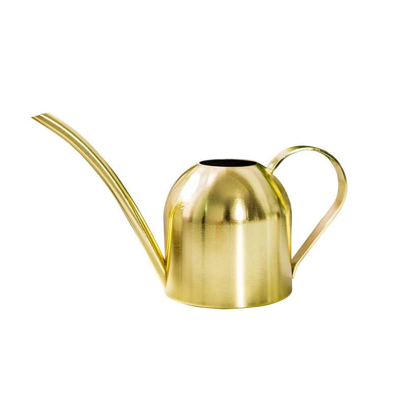 Golden Stainless Steel Houseplant Watering Can Long Spout Indoor/Outdoor 