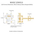 thumbnail image 5 of Rosec Jewels Lab Created Diamond Dog Paw Stud Earrings - EF-VS Quality - Ready to Gift with Jewelry Box, 14K Yellow Gold, 5 of 6
