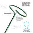 thumbnail image 2 of 5PCS Plant Support Stakes 45cm Garden Plant Flower Support Ring Cage Plant Climbing Support with 10pcs Plant Support Clips for Peony  Tomato Vegetable  Hydrangea  Rose  Lily, 2 of 11