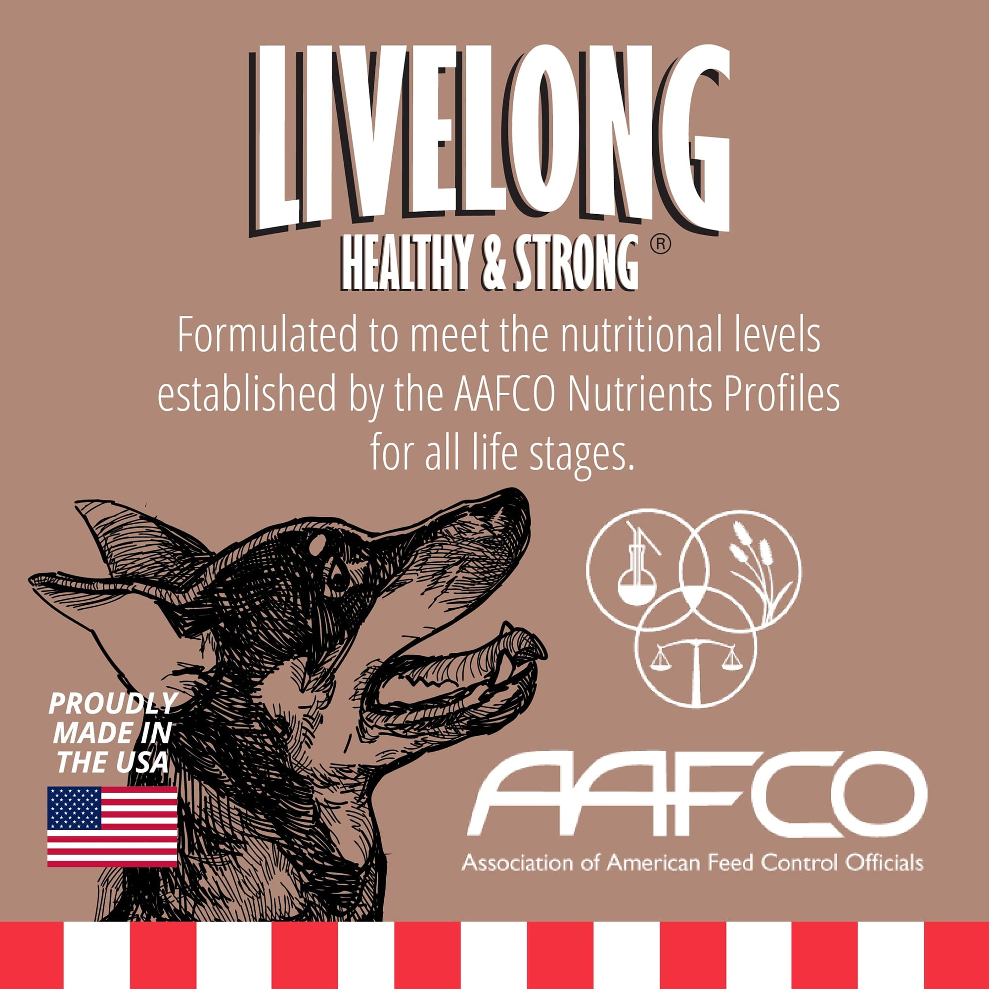 Livelong Healthy & Strong: 12 Pack: Pork & Sweet Potato Recipe - 12.5oz Cans, Wet Dog Food, High Protein, All Natural, No Preservatives,