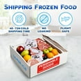 Luna Dry Ice for Shipping Frozen FoodIce Packs ShippingCold Pack