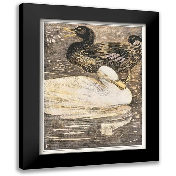 Hoytema, Theo van 12x14 Black Modern Framed Museum Art Print Titled - Two ducks