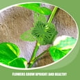 thumbnail image 3 of Nestingho 20Ud Clips Plásticos Para Plantas Trepadoras Con Adhesivo Para Soporte En Pared, 3 of 6