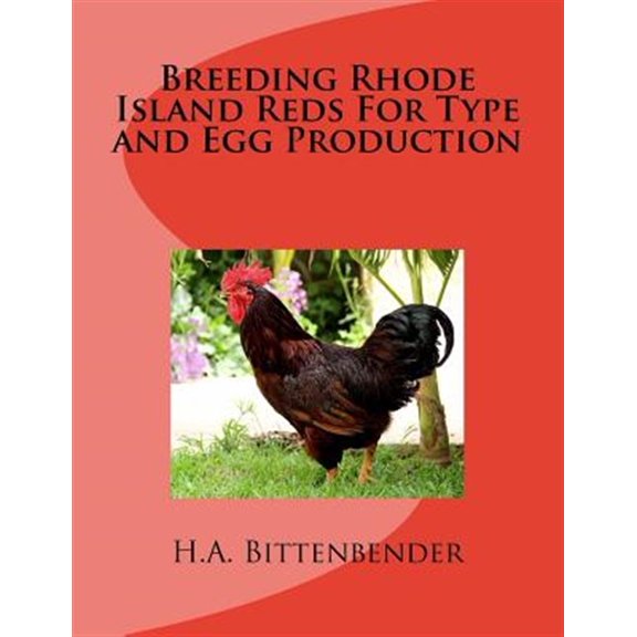 Pre-Owned Breeding Rhode Island Reds for Type and Egg Production