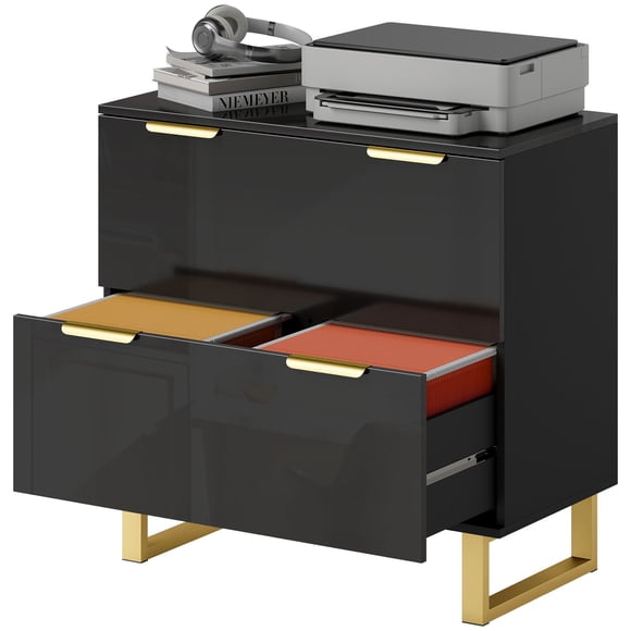 Modern High Gloss Black 2-Drawer Lateral File Cabinet - Home Office & Living Room Storage, 31.5" W x 15.7" D x 30.7" H