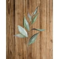 thumbnail image 2 of Allen, Kimberly 15x18 White Modern Wood Framed Museum Art Print Titled - Leaf Wood 1, 2 of 4