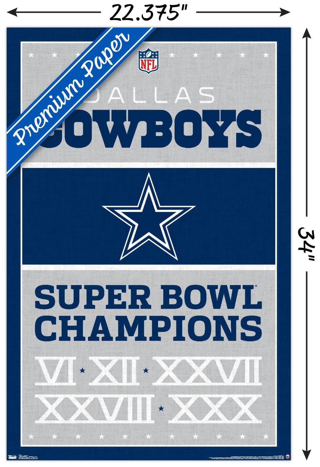 NFL Dallas Cowboys - Champions 13 Wall Poster, 22.375" x 34"