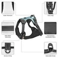 thumbnail image 6 of Lsque Flower Crown White Horse Dog Harness, No-Pull Pet Harness with 2 Leash Clips, Adjustable Soft Padded Dog Vest with Easy Control Handle for Large Dogs-Large, 6 of 9