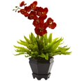 thumbnail image 1 of Oiseaux Nid & Orchidée Combo avec Planteur, 1 of 1