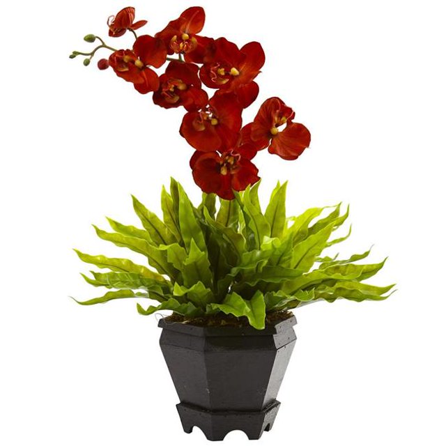 Oiseaux Nid & Orchidée Combo avec Planteur