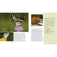 thumbnail image 5 of Gardening for Butterflies - Paperback, 5 of 6