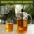 thumbnail image 2 of Eucalyptus Leaves, Dried Leaves, Hojas de Eucalipto, Eucalyptus leaves tea, Dried Hojas de Eucalipto, Natural Eucalyptus Leaves tea( 5 oz./ 141 g), 2 of 3