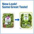 thumbnail image 2 of Marketside Organic Fresh Spinach and Spring Mix, 5.5 oz, 2 of 7