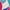Pink Lollipop, variant on No Boundaries Lettuce Edge Swim Crop Top with Short Sleeves, Women's