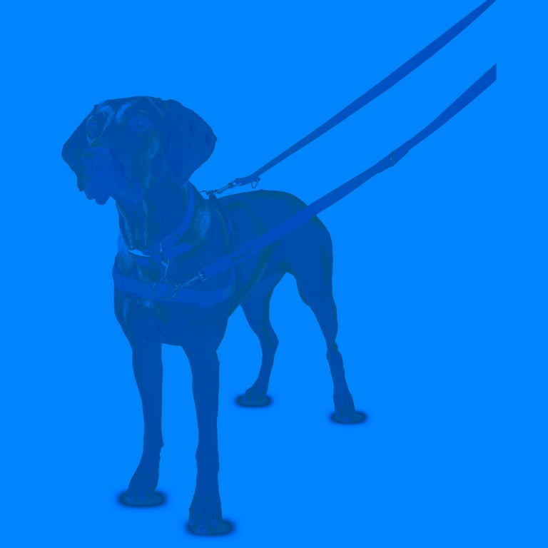Halti front hotsell control dog harness