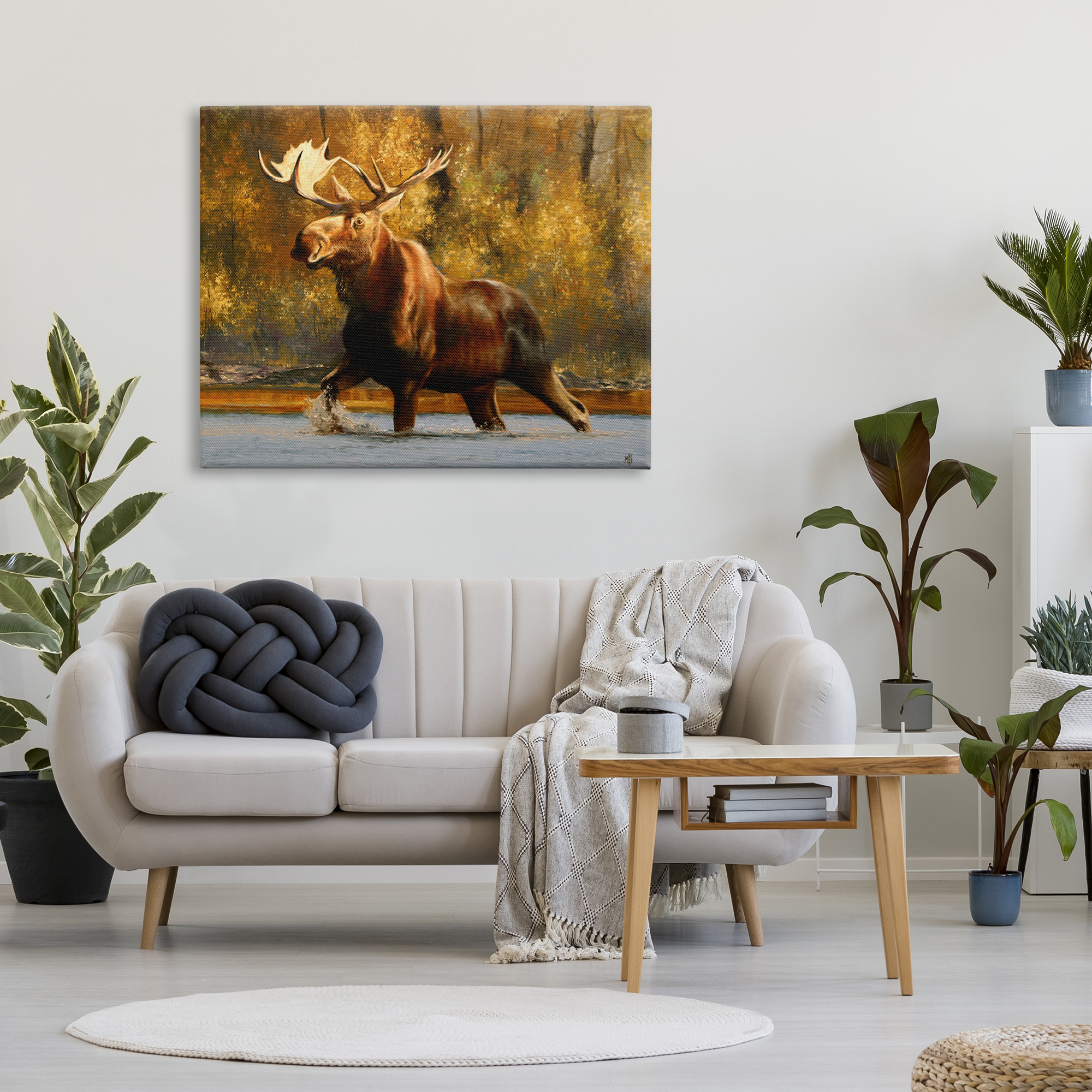 Stupell Industries Moose Stepping River Foliage Animals & Insects Photography Gallery Wrapped Canvas Print Wall Art, 48 x 36