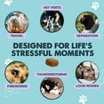 thumbnail image 5 of Mighty Paw Dog Calming Chews with Melatonin – Anxiety & Stress Relief Treats for Puppies & Large Dogs, 120 Ct, 5 of 11