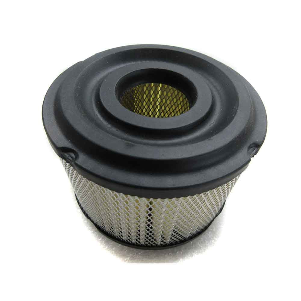 Paper Air Filter B&S 390492