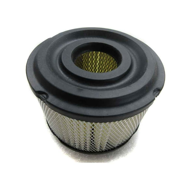 Paper Air Filter B&S 390492