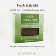 thumbnail image 2 of Plantlife Neem 3-Pack Bar Soap - Moisturizing and Soothing Soap for Your Skin - Hand Crafted Using Plant-Based Ingredients - Made in California 4oz Bar, 2 of 9