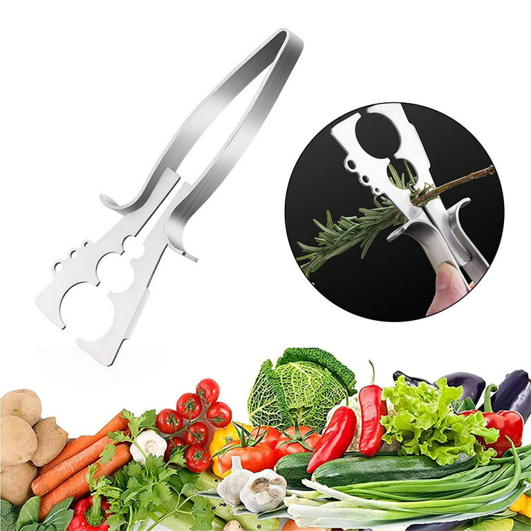 Hesroicy Stainless Steel Herb Stripper Tool, Herb Leaf Cilantro Leaf  Remover, Vegetable Leaf Stripper Cutter, Home Kitchen Peeling Tool for  Kale