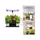 thumbnail image 1 of WiFi hydroponic Planting System with 12 pods, with APP Control, Indoor herb Garden, with 30W Full Spectrum Plant Growth Light, Garden Automatic Timer, 1 of 5
