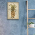thumbnail image 3 of Epic Art 'Pineapple Study II' by Tim O'Toole, Acrylic Glass Wall Art, 16"x24", 3 of 3