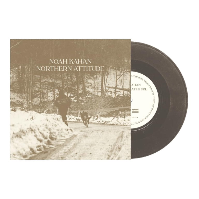 【新品未開封】Noah Kahan 限定 液体入りレコード 最新作 完売品 Noah Kahan - Northern Attitude - Black Ice Colored Vinyl with