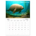 thumbnail image 6 of Recently Extinct (Monthly Wall Calendar 2026 16.5 x 23.4 (open)), CALVENDO 14 Month Calendar, 6 of 9