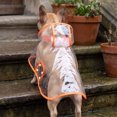thumbnail image 4 of Neoargh Clear Waterproof Raincoat, Light‑Weight Rain Protection Jacket for Multi‑Size Pets Outdoor Walk, 4 of 6