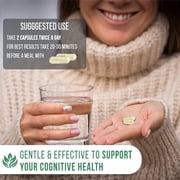 Enliven Panax Ginseng & Ginkgo Biloba Extract Supplement, 60 Capsules, Herbal Support