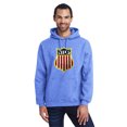 thumbnail image 3 of Official USA hockey Shield Chenille Logo hoodie, 3 of 5