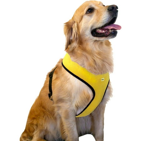 Symply Dog Food Pets At Home Symply Dog Food Pets At Home