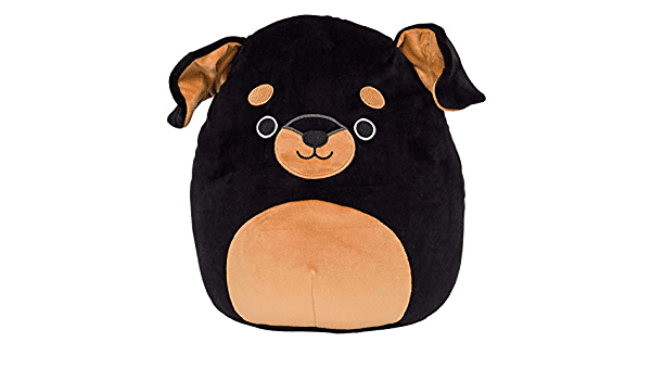 rottweiler squishmallow 12 inch