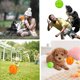 thumbnail image 1 of Durable Pet Squeak Chew Bouncy Pelotas de juguete de goma para perros Ejercicio Entrenamiento Jugando (3 bolas) (a-1b) XianweiShao 8390612094453, 1 of 1