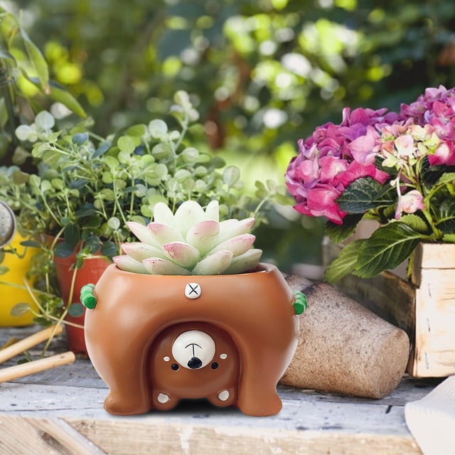 Succulent Planter Pot Animal Cactus Bonsai Flower Pots With Drainage Hole