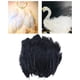thumbnail image 3 of Cateissary 100x Chicken Satinettes Loose Feathers Craft DIY Wedding for Type3 NO3, 3 of 6