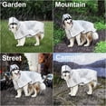 thumbnail image 5 of Impermeable transparente para perros con capucha cortavientos y puños elásticos impermeables, ajustables e impermeables, apto para perros medianos y grandes., 5 of 5