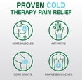 thumbnail image 6 of Biofreeze Biofreeze Professional 3oz Roll-On 3PK Pain Relief Arthritis Fast-Acting Muscle Back, 6 of 11