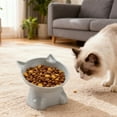 thumbnail image 5 of AuroraX Slow Feeder Cat Bowls No Spill Elevated Dog Bowl for Small Medium Dog Cat,Cute Whisker Friendly Tilted Cat Food Dish,Puppy Small Pet Kitten Dog Supplies, 5 of 6