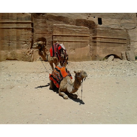 - LAMINATED POSTER Rock Colorful Saddle Desert Camel Pair Blanket Poster Print 24 x 36