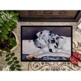 thumbnail image 3 of Carolines Treasures 7163JMAT Harlequin Natural Great Danes Doormat 24x36 36"L x 24"W multicolor, 3 of 4
