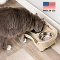 thumbnail image 4 of Neater Pets Neater Feeder Express Mess-Proof Elevated Food & Water Bowls for Cats, Almond, 4 of 11
