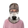 thumbnail image 5 of 2025 Children's Ski Face Guard Riding Face Guard Cartoon 3D Cat Ski Face Face Guard With Ears Music Festivals Raves Ski Halloween Party Keep Warm Windproof Outdoor Activities Ski Boot Covers, 5 of 5