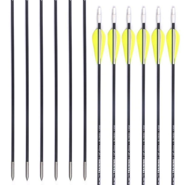 12PCS 26" Fiberglass Arrows Spine 1000 For Recurve Bow Target Archery