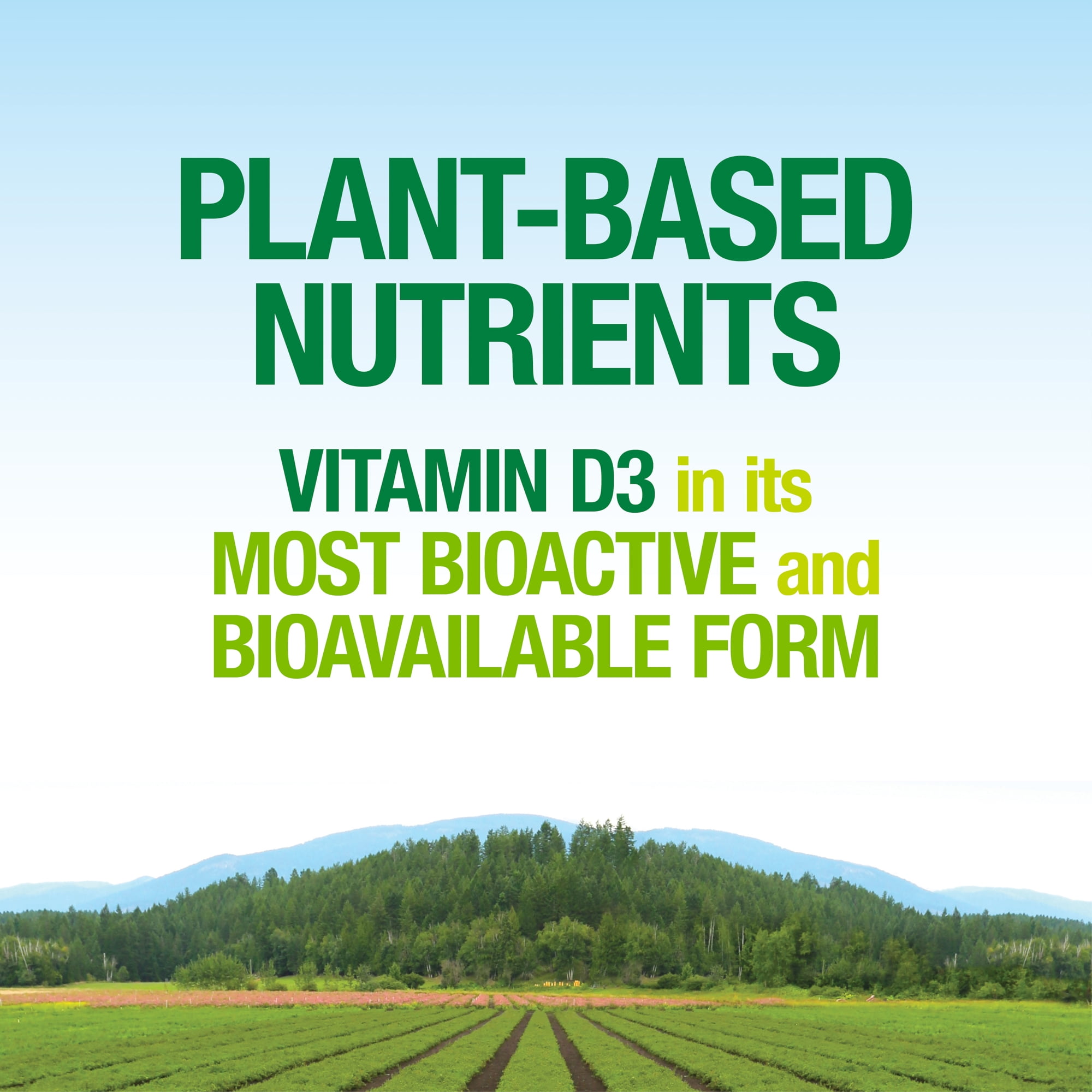 Whole Earth & Sea from Natural Factors, Vitamin D3 5000 IU (125 mcg), Whole Food Supplement, Vegan, 60 Capsules (60 Servings)