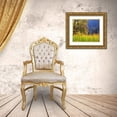 thumbnail image 3 of Talbot Frank, Christopher 30x26 Gold Ornate Wood Framed with Double Matting Museum Art Print Titled - California, Yosemite Oak with autumn foliage, 3 of 4